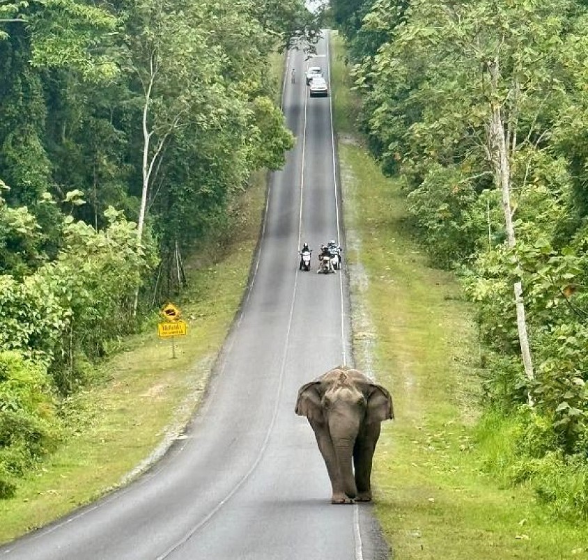 เหมารถเที่ยวอุทยานแห่งชาติฯ